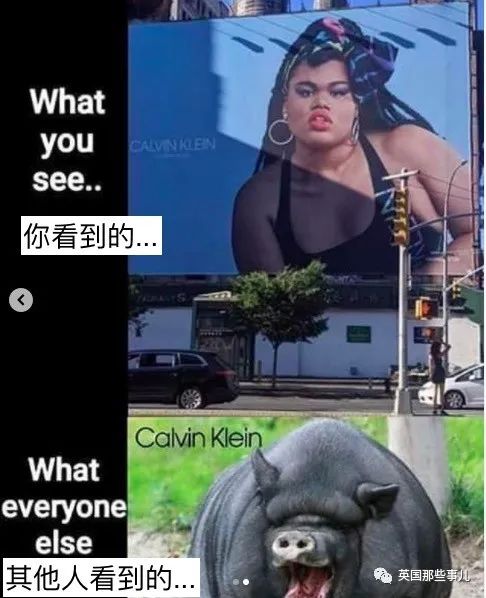 ck最新代言人男明星,ck找代言