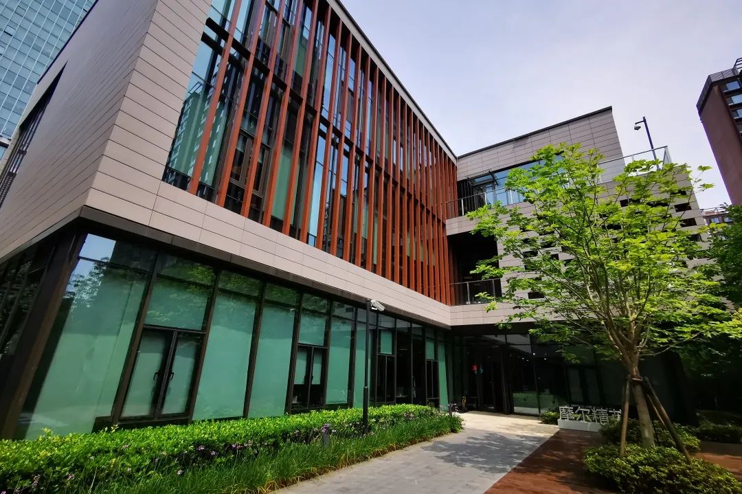 摩尔精英5周岁，谢谢你陪我一起成长