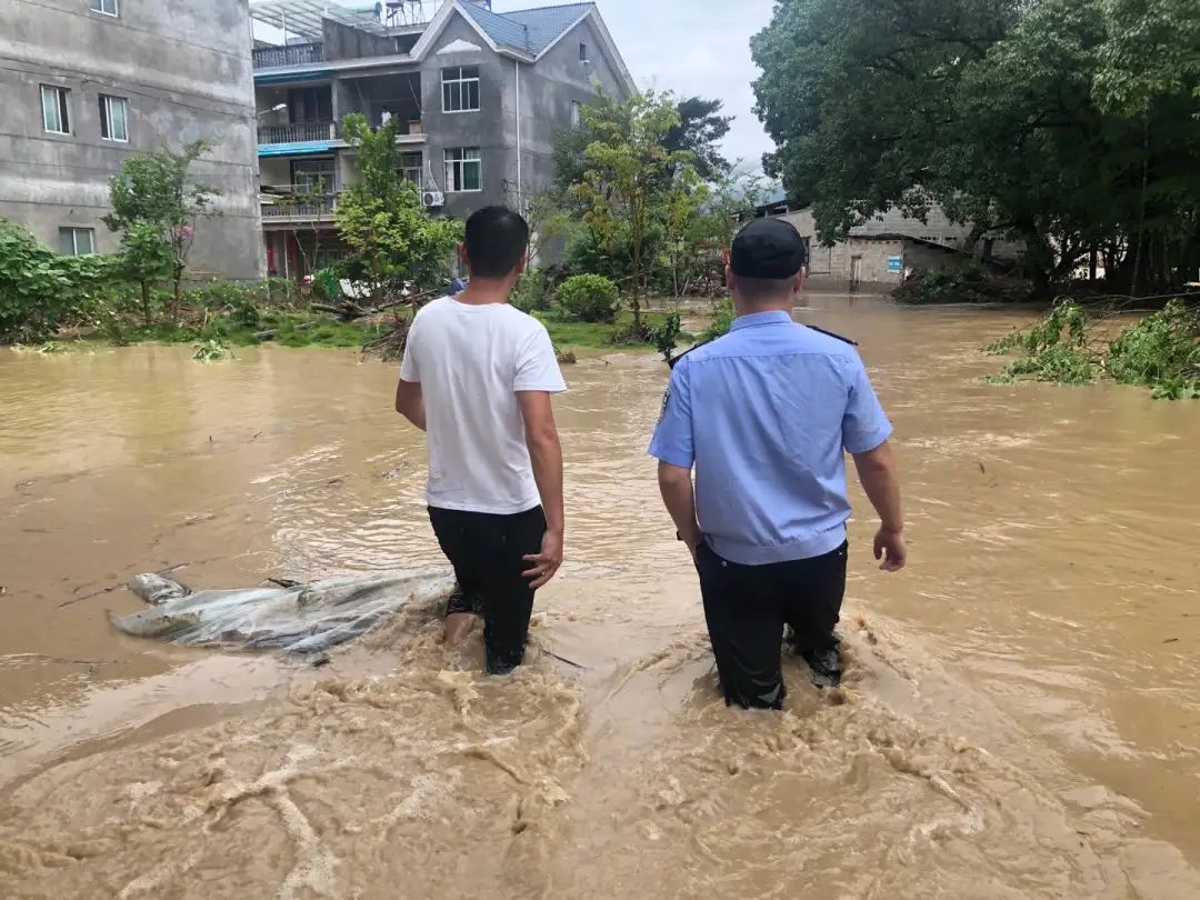 2019年7月20日丽水新闻,丽水新闻快讯