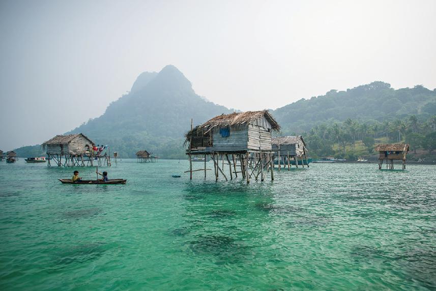 荐书|800米外认脸，5分钟深海潜水……现实中的“X战警”，能量超乎你的想象