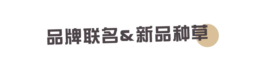 王思聪新款球鞋,王思聪80w什么鞋
