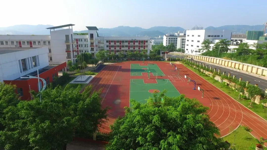 柳沙学校南宁,南宁柳沙学校在哪里