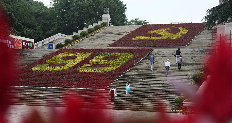 地方党组织和基层党组织区别,党组和党的基层组织的区别