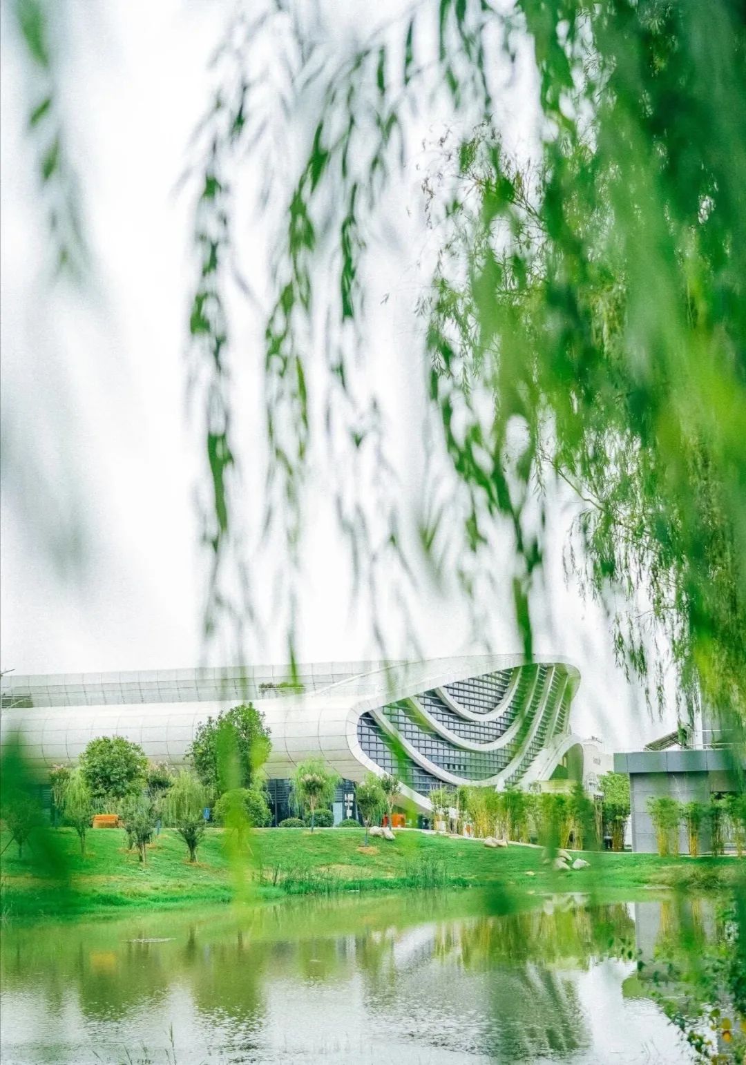 你好这里是成都翻译英文,你知道武汉商学院么