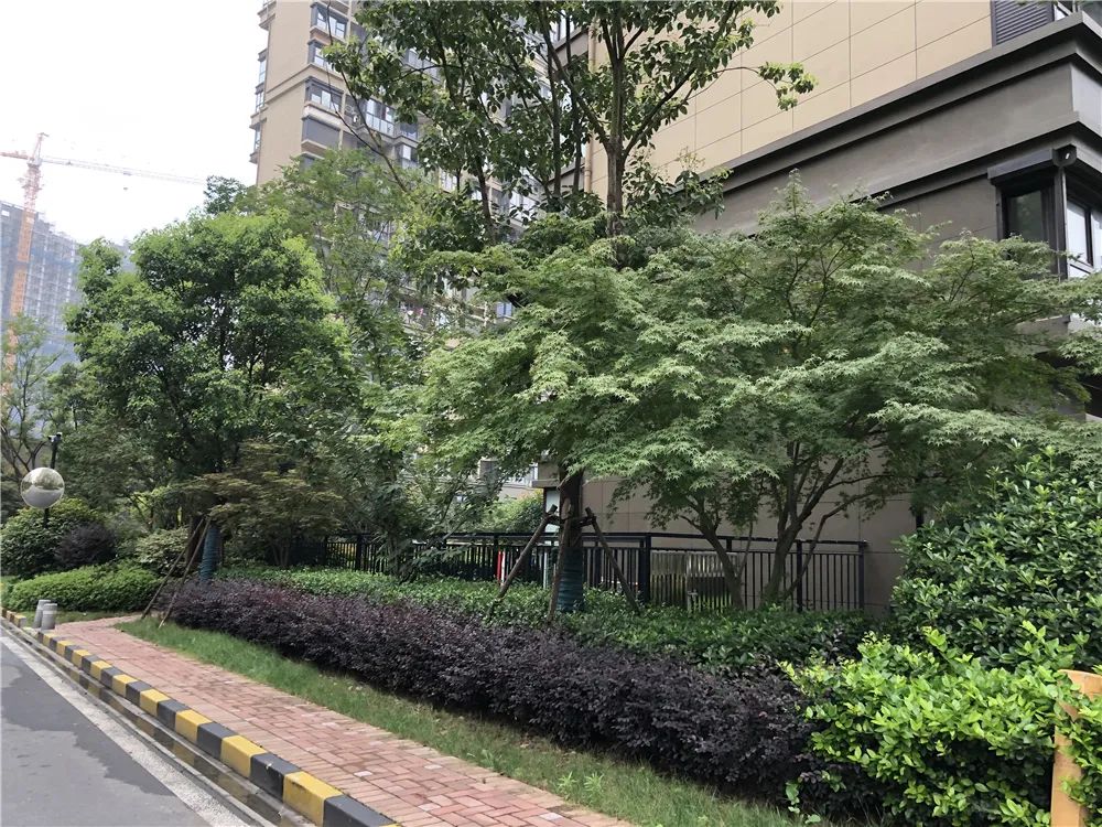 双学区，地铁近，配套全，这个网红小区交付两年却仅涨4000元/㎡