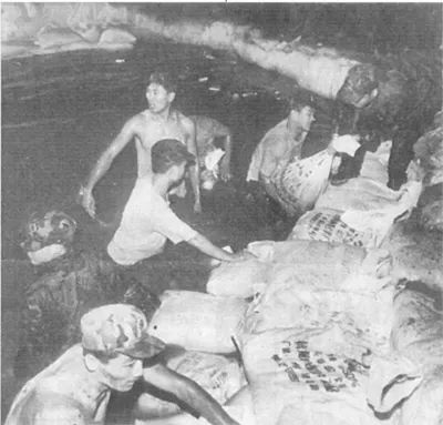 从标准堤塘到“最美跑道”，它是如何成为城市“网红”的？丨30年30问⑥⑦