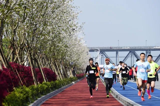 从标准堤塘到“最美跑道”，它是如何成为城市“网红”的？丨30年30问⑥⑦