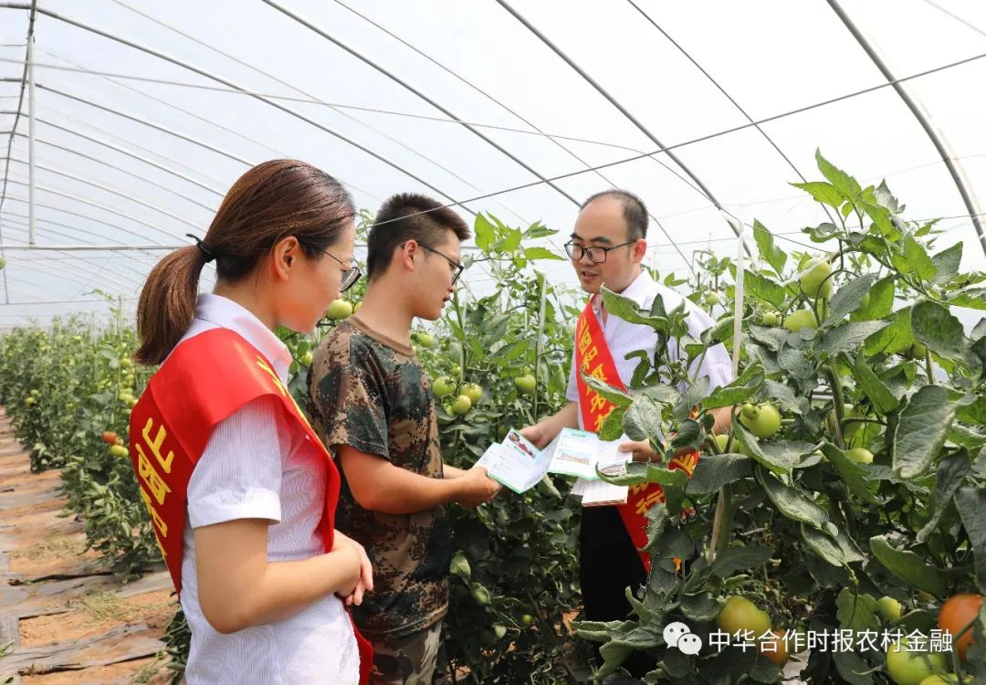 线上农信贷款申请多久能通过,线上申请的贷款随借随还