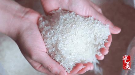 大米热销第一名兴唐,宁夏兴唐牌大米价格