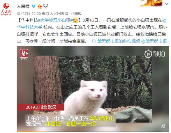 现实中的山顶洞人,中国大学生为什么混日子