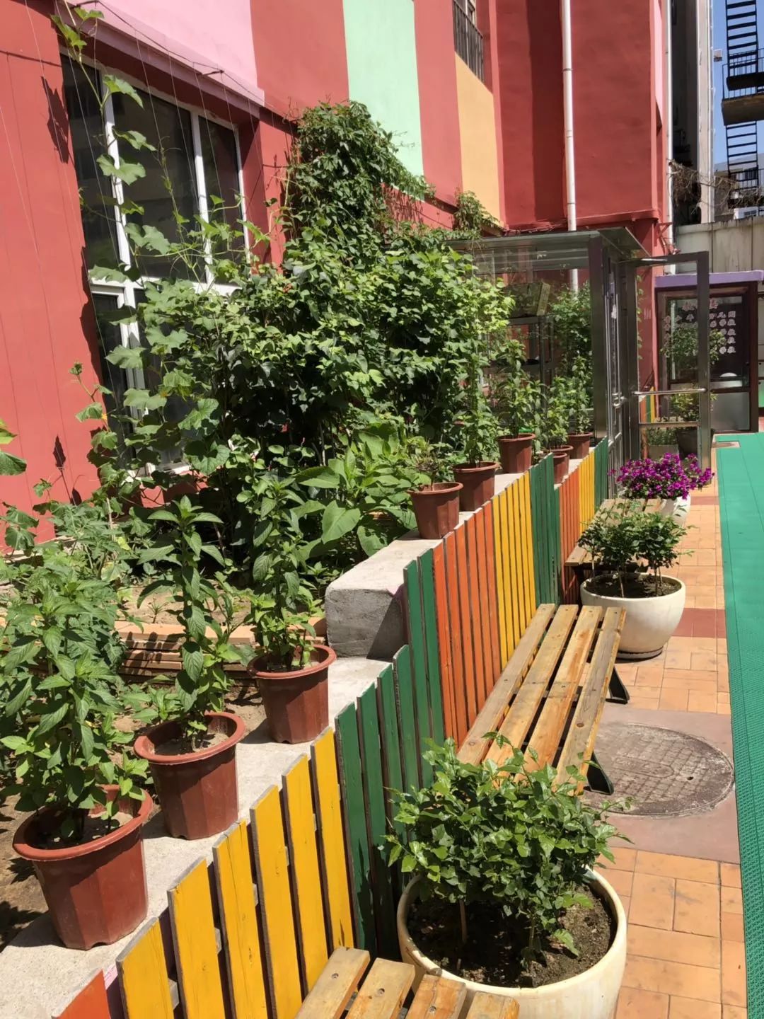 齐齐哈尔青少年宫报名现场,齐齐哈尔青少年宫幼儿园