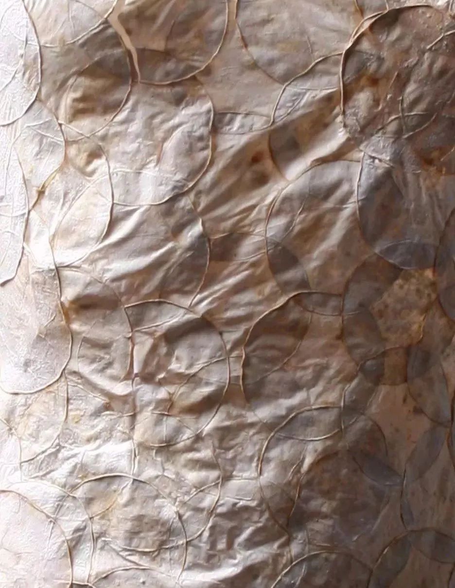 黑科技可拍照,黑科技拍照真实图片