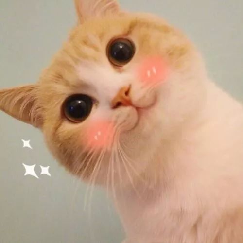 生活在天河有多幸福？看完我慕了