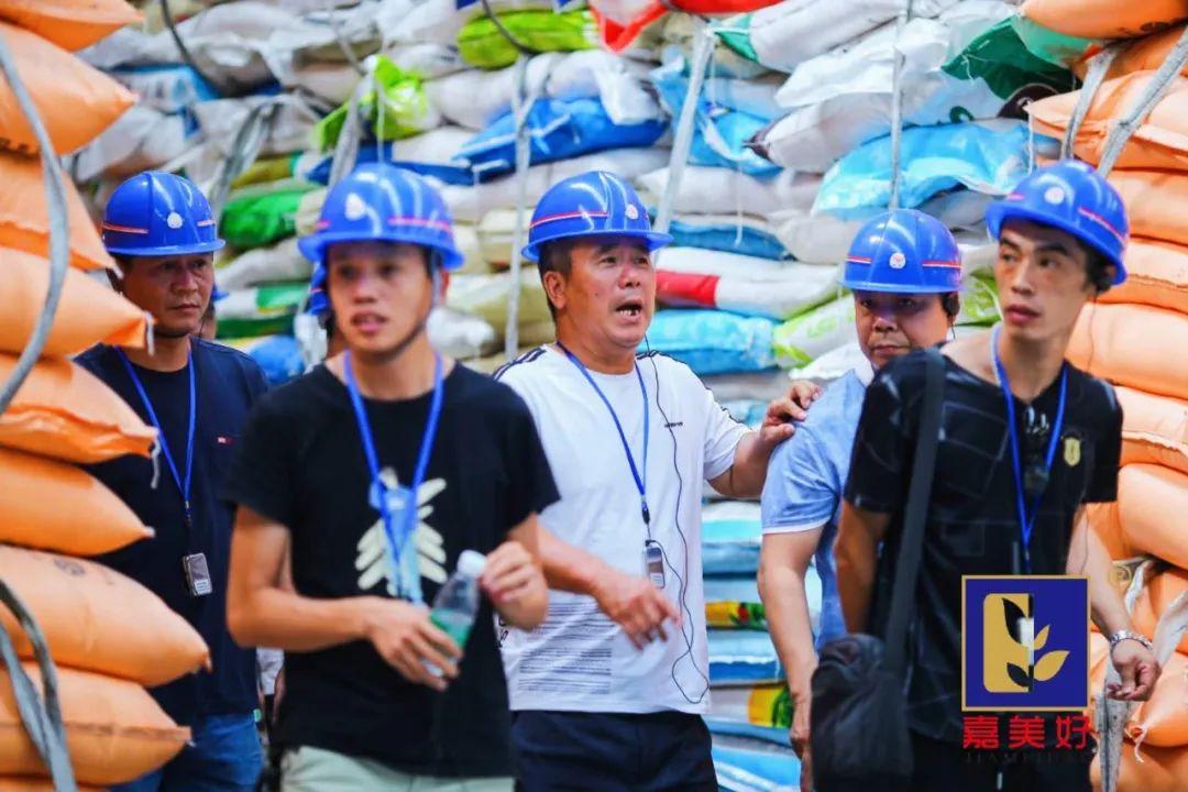 广东嘉美好进出口,广东嘉美好公司