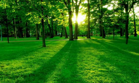 贵阳恒大悦府二期施工进度,贵阳恒大悦府业主退房