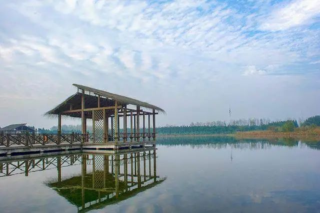 谢蟹有你肉蟹煲优惠券,谢谢有你完整视频