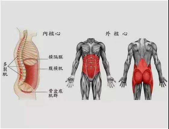 当你不想减肥时看看这些女明星,减肥坚持不下去时看看这些女明星