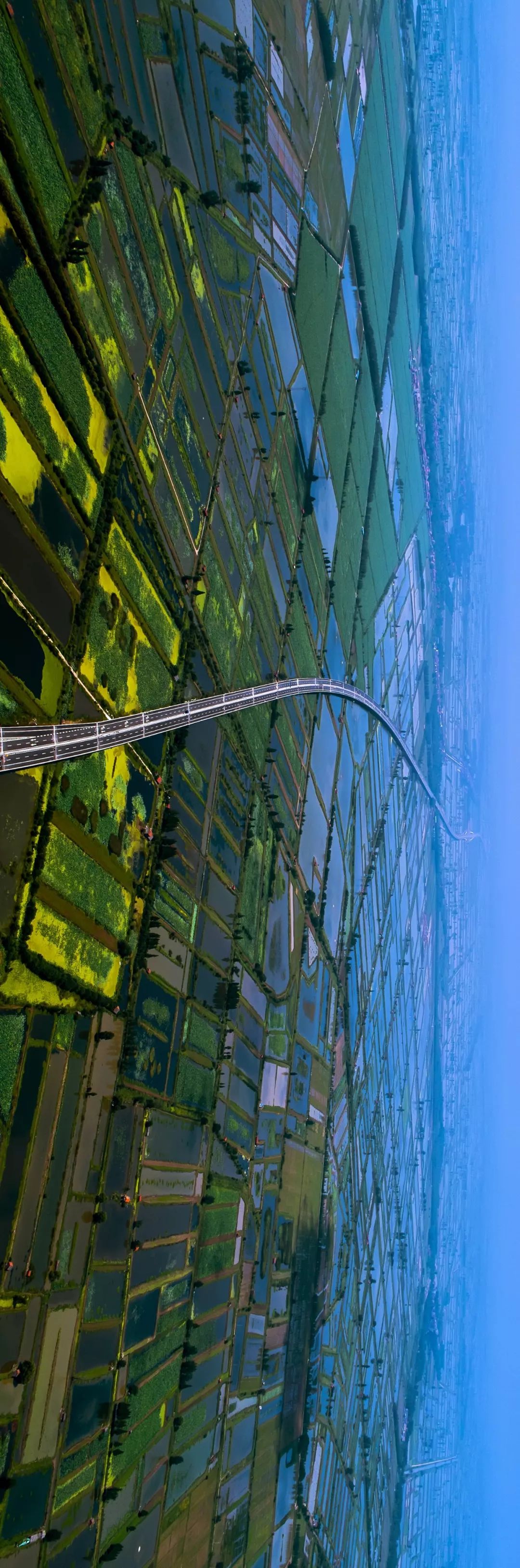 【大美荆州】洪湖，不仅有浪打浪，还有湿地风光和湖鲜全宴！