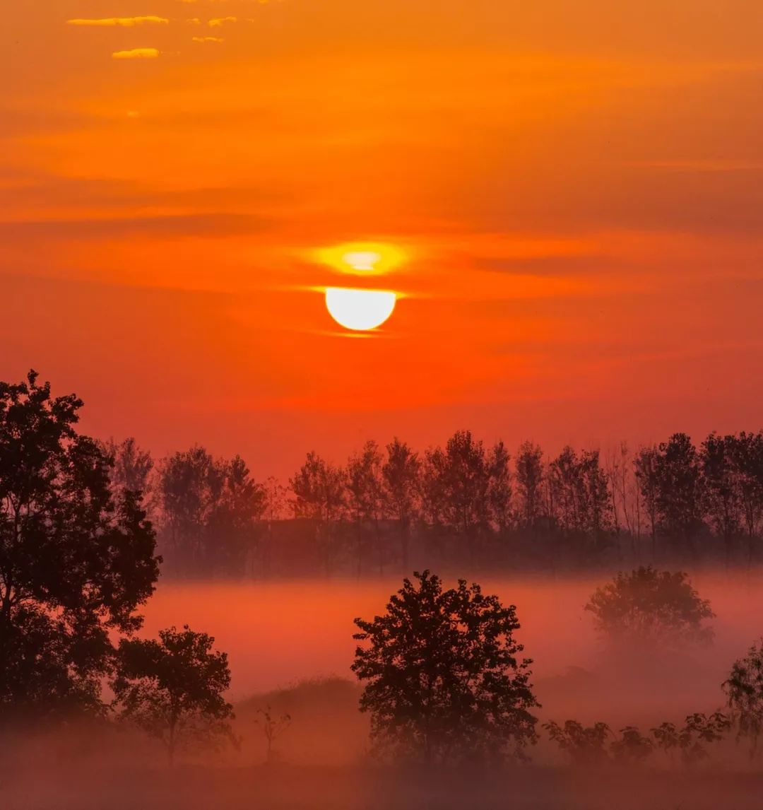 【大美荆州】洪湖，不仅有浪打浪，还有湿地风光和湖鲜全宴！