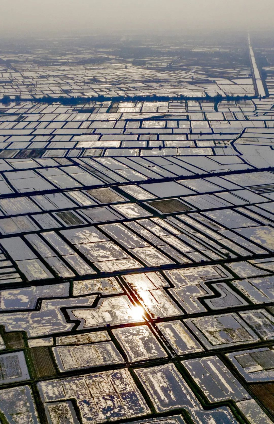 【大美荆州】洪湖，不仅有浪打浪，还有湿地风光和湖鲜全宴！