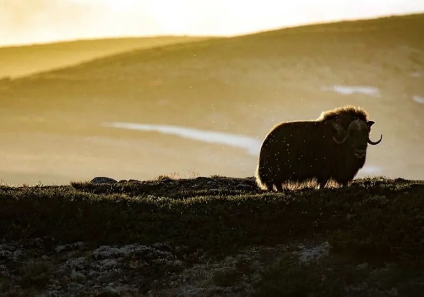 挪威绝美风景,挪威的奇妙景象