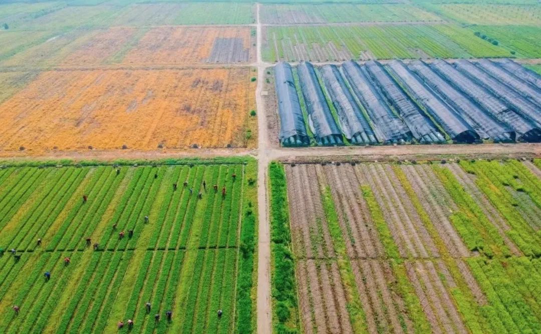 江苏十强镇排名,江苏百强镇最新排名