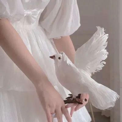 凤凰城商业综合体,民生凤凰城商业