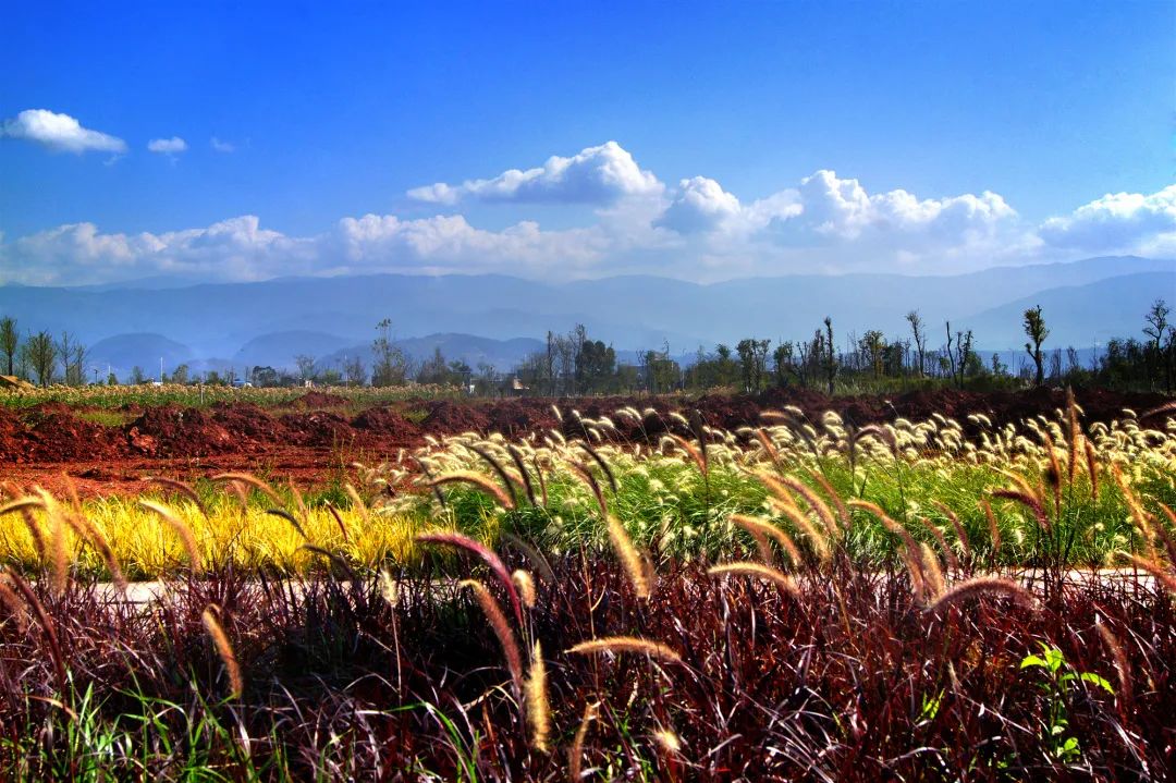 七彩西昌夜景美图,七彩西昌全景图