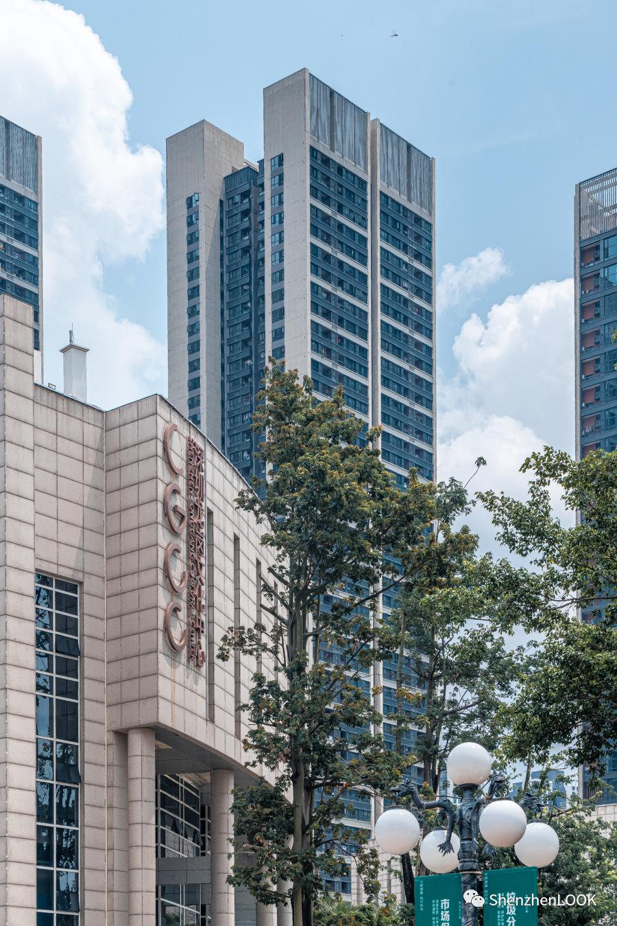 龙岗中心城实况,龙岗中心城全景