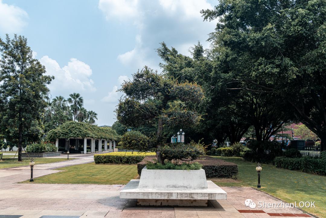 龙岗中心城实况,龙岗中心城全景