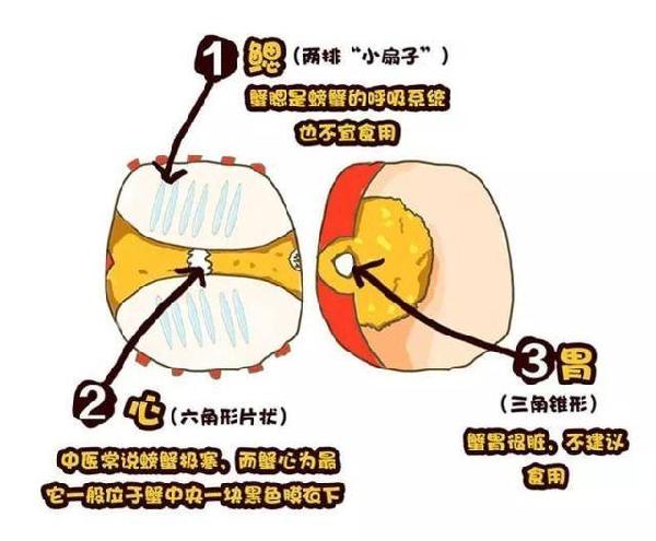 大闸蟹母蟹什么时候吃最好的,大闸蟹又肥又多膏