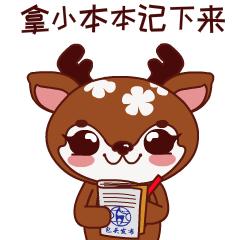 包头开通的航线,包头15元航线