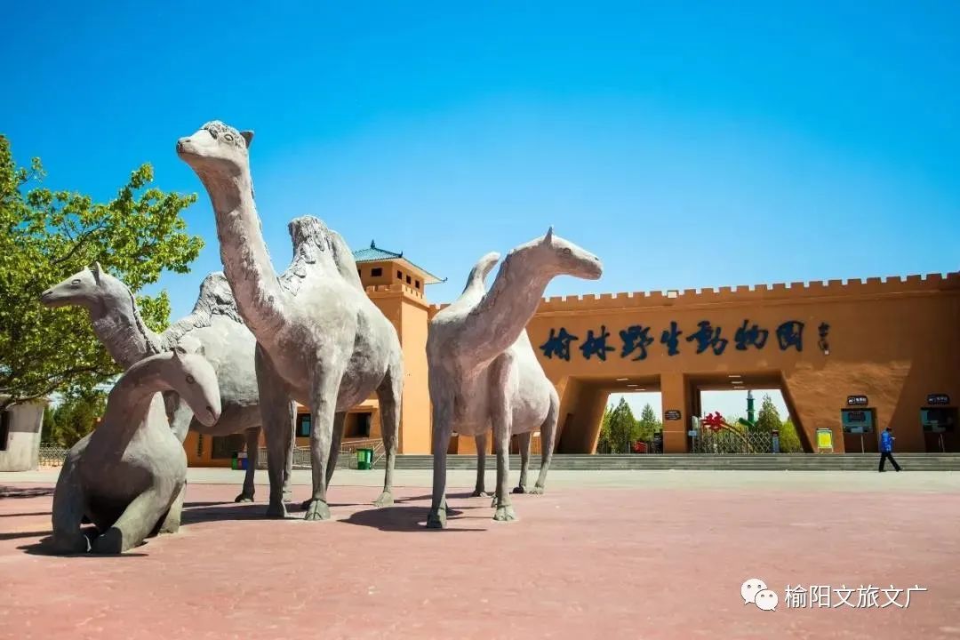 大美榆阳最新视频,大美榆阳全部视频
