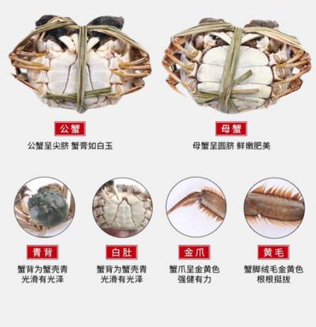 吃大闸蟹注意事项和禁忌,大闸蟹油炸时候需要注意什么