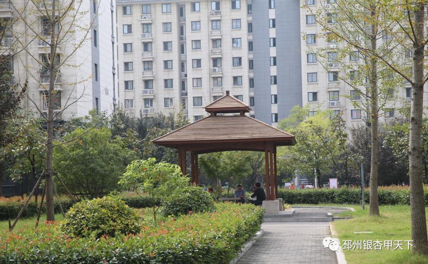 住在运河旁边的真实感受,住在淮海路的真实感受