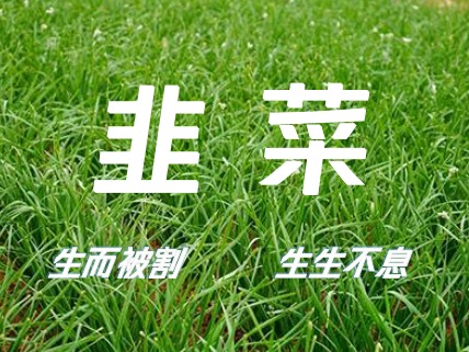 荐股群的各种套路,科普知识进企业