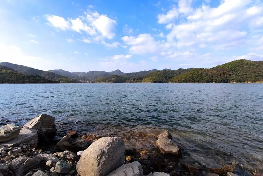 又要拼手速！神户型来袭！镇海现象级“红盘”荣耀加推，地点就在……