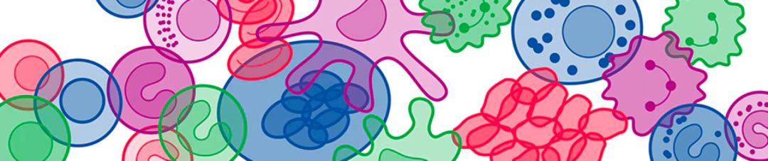 人人学懂免疫学全集,人人学懂免疫学语音版