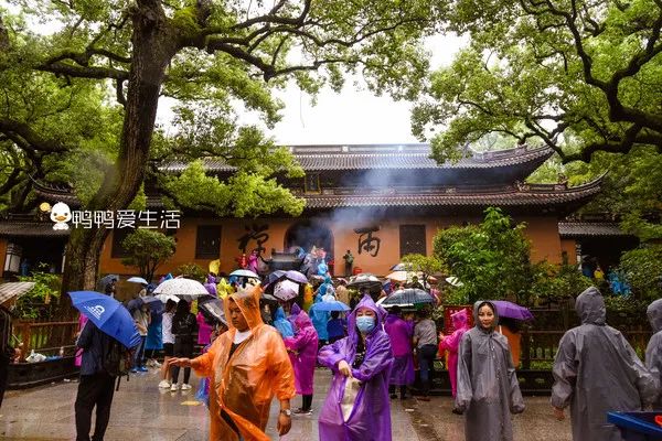 <html>
<head><title>502BadGateway</title></head>
<body>
<center><h1>502BadGateway</h1></center>
<hr><center>nginx</center>
</body>
</html>
<!--apaddingtodisableMSIEandChromefriendlyerrorpage-->
<!--apaddingtodisableMSIEandChromefriendlyerrorpage-->
<!--apaddingtodisableMSIEandChromefriendlyerrorpage-->
<!--apaddingtodisableMSIEandChromefriendlyerrorpage-->
<!--apaddingtodisableMSIEandChromefriendlyerrorpage-->
<!--apaddingtodisableMSIEandChromefriendlyerrorpage-->
