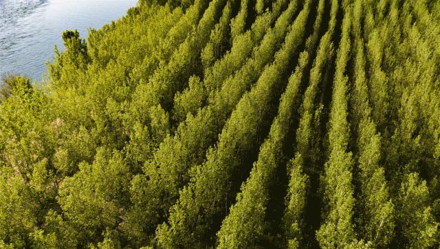 大美河南洛阳城市,美丽河南