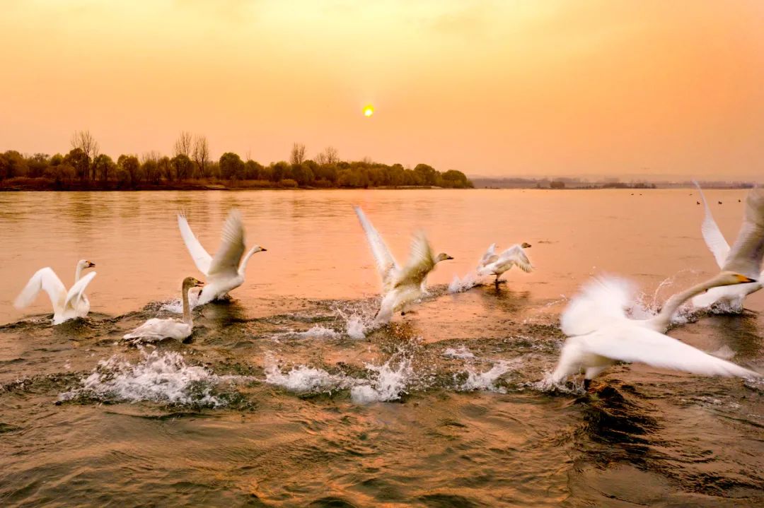 大美河南洛阳城市,美丽河南