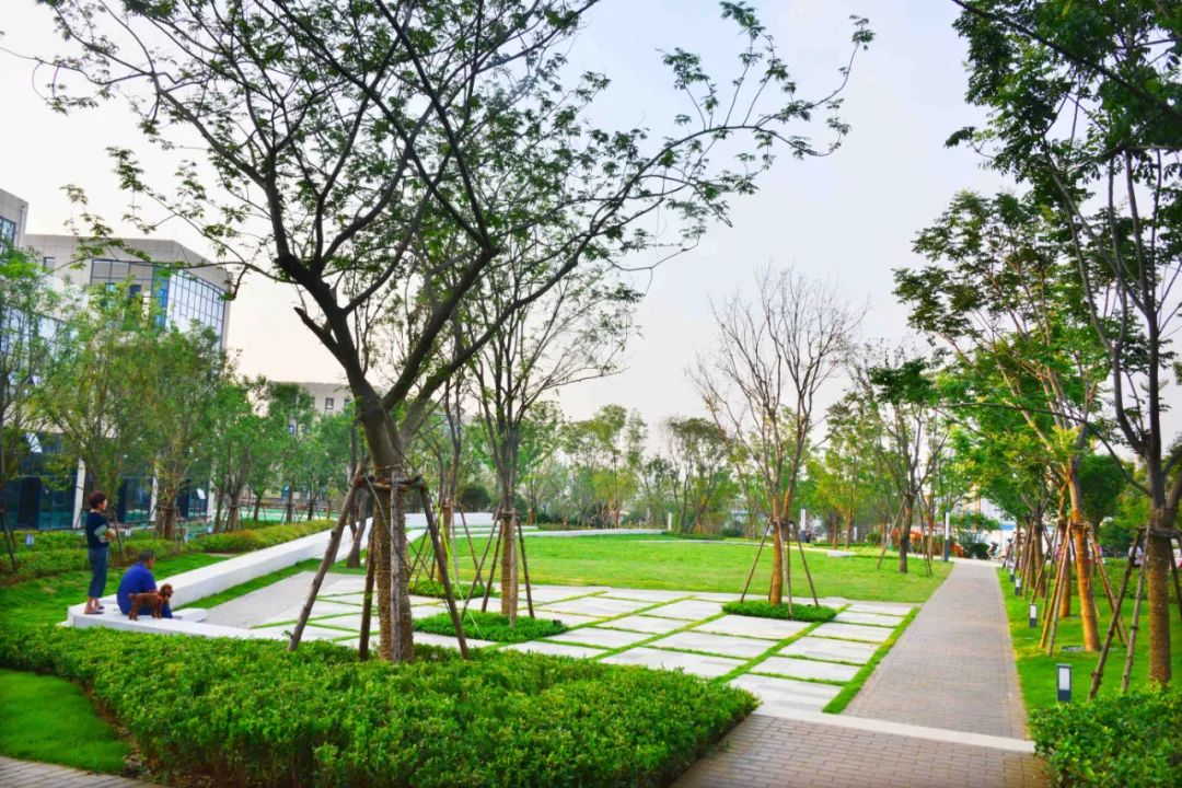 大美河南洛阳城市,美丽河南