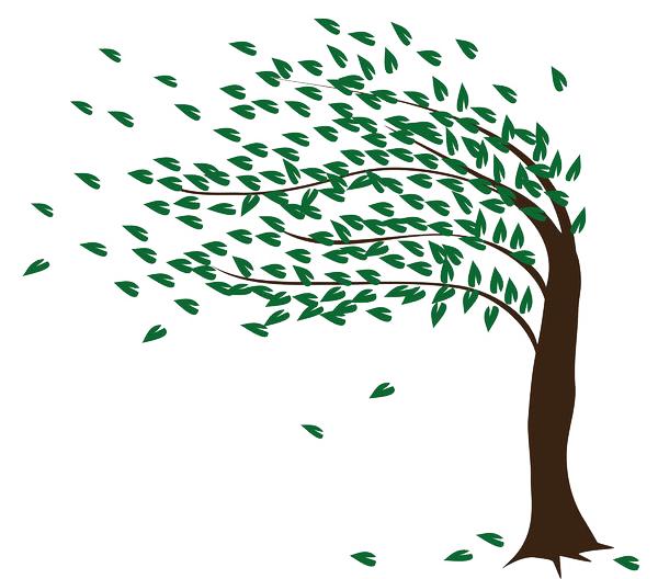 以案为鉴开展情况报告,十大典型事故案例