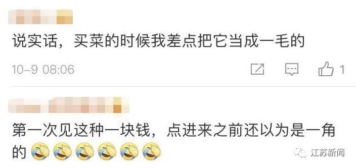 小的一元是什么,小一点的一元是啥