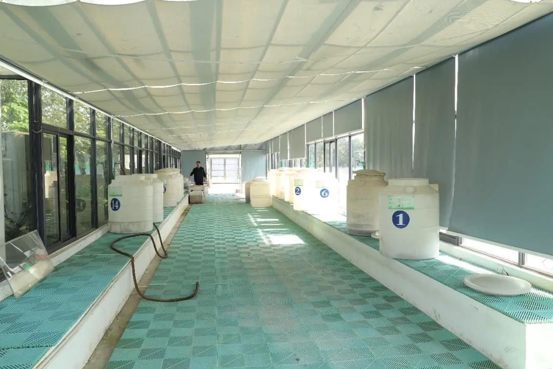 中华好蟹颁奖,中华好螃蟹