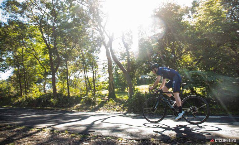 我愿称之为全能野兽——FactorOstroVAM