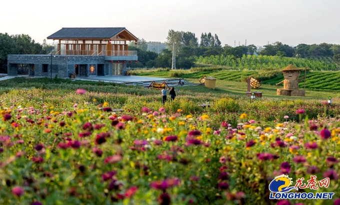 丰收节遇上种博会江宁谷里双品牌联动庆丰收迎小康