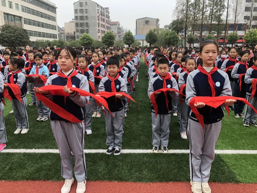 你好红领巾少先队活动记录,你好红领巾一年级主题班会