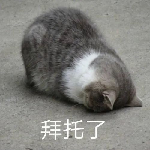 爱长斑的女人怎么办,女生长斑