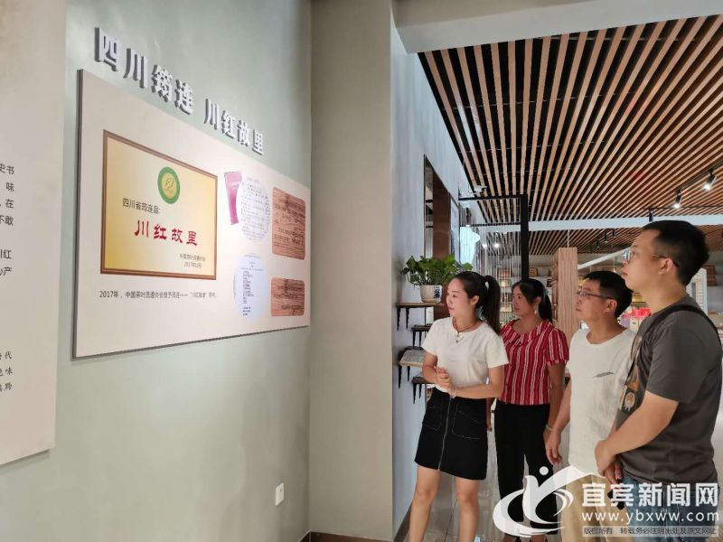 刘一平：筠连红茶名扬天下制作传承不改初心